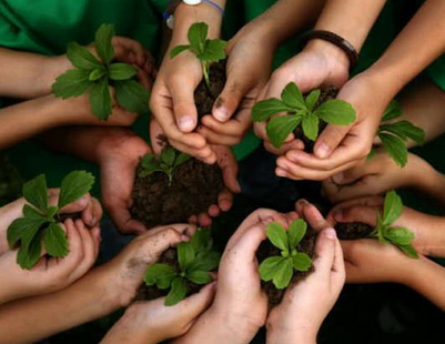 EDUCAÇÃO AMBIENTAL NO SÉCULO XXI – REAVALIANDO PARADIGMAS  